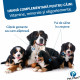 PET PHOS Croissance Grand Chien, 100 comprimate – suport mineral și vitaminic pentru juniori de talie mare